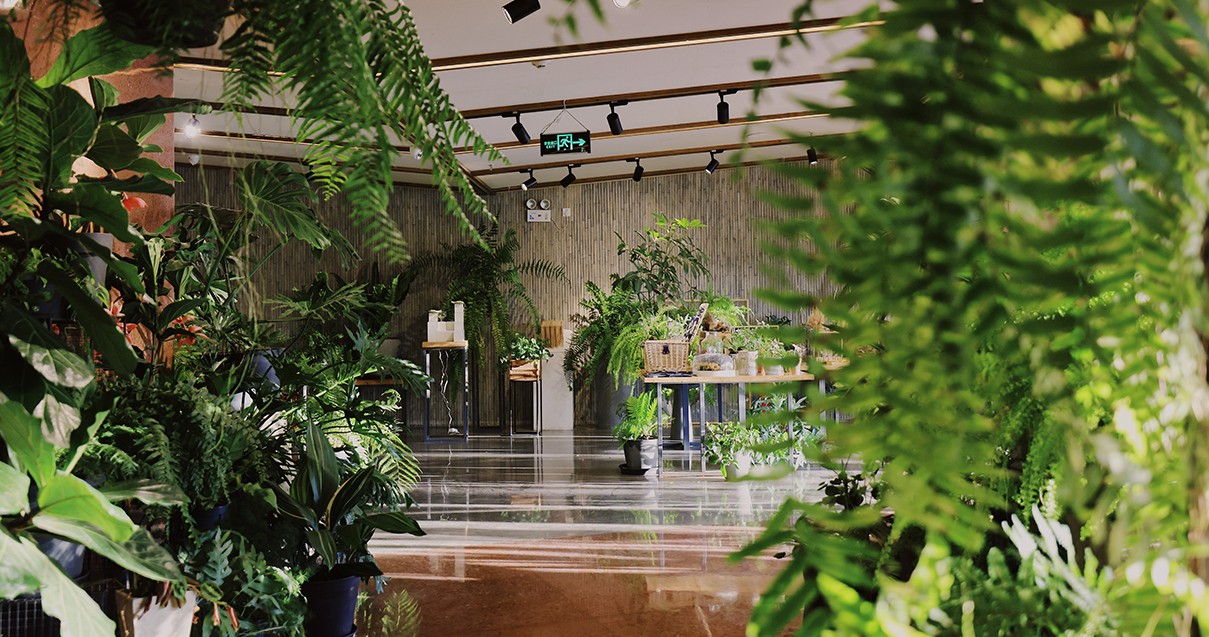 Bevictor韦德奥莱·滇池小镇