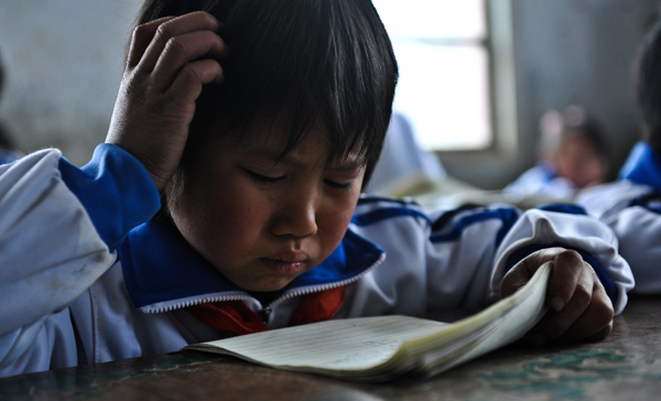 bevictor伟德官网·(中国)唯一官方网站