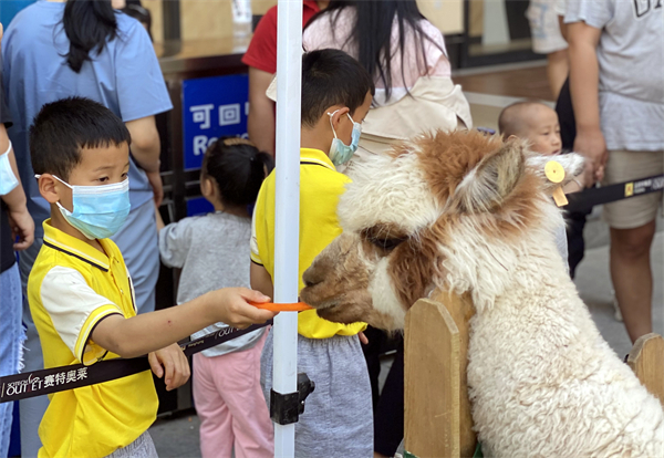 bevictor伟德官网·(中国)唯一官方网站