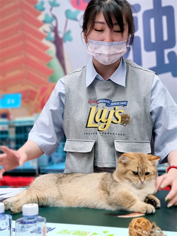 bevictor伟德官网·(中国)唯一官方网站