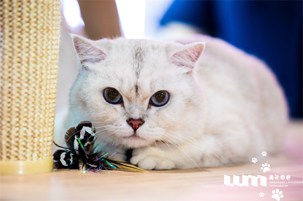 bevictor伟德官网·(中国)唯一官方网站