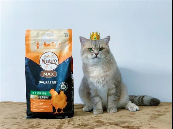 bevictor伟德官网·(中国)唯一官方网站