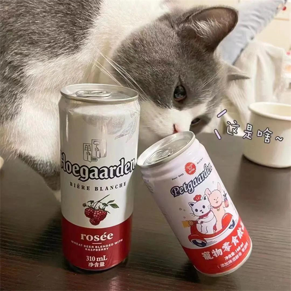 bevictor伟德官网·(中国)唯一官方网站