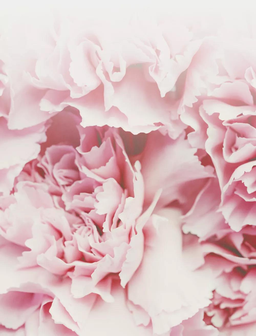 bevictor伟德官网·(中国)唯一官方网站