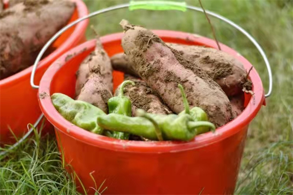 bevictor伟德官网·(中国)唯一官方网站