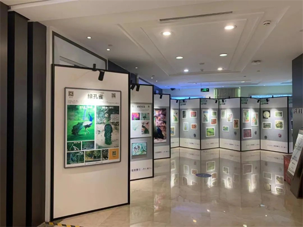 bevictor伟德官网·(中国)唯一官方网站