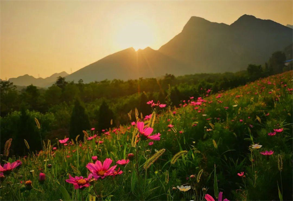 bevictor伟德官网·(中国)唯一官方网站