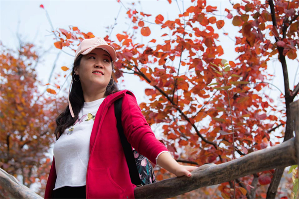 bevictor伟德官网·(中国)唯一官方网站