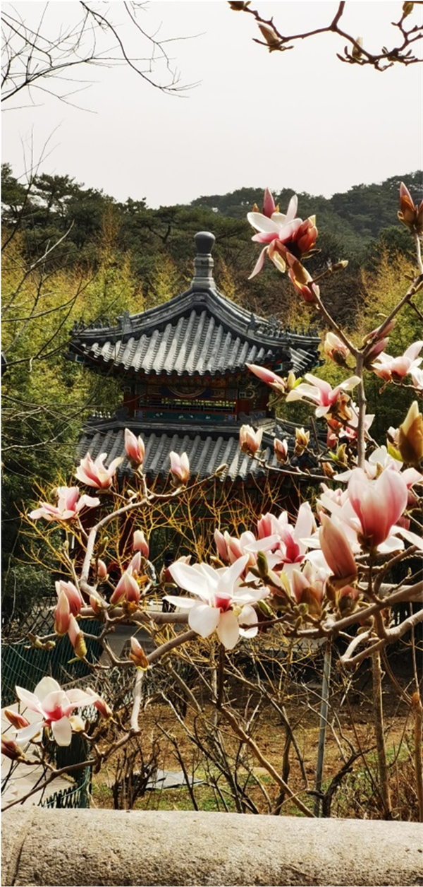 bevictor伟德官网·(中国)唯一官方网站