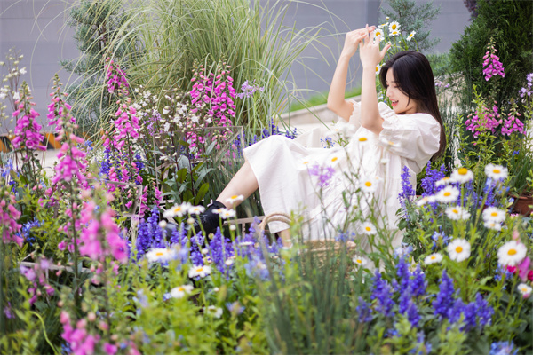 bevictor伟德官网·(中国)唯一官方网站