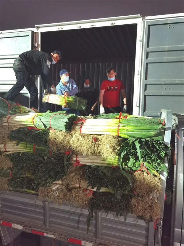 bevictor伟德官网·(中国)唯一官方网站