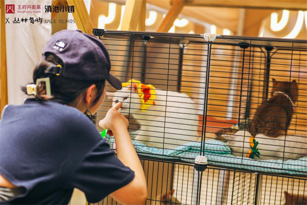 bevictor伟德官网·(中国)唯一官方网站