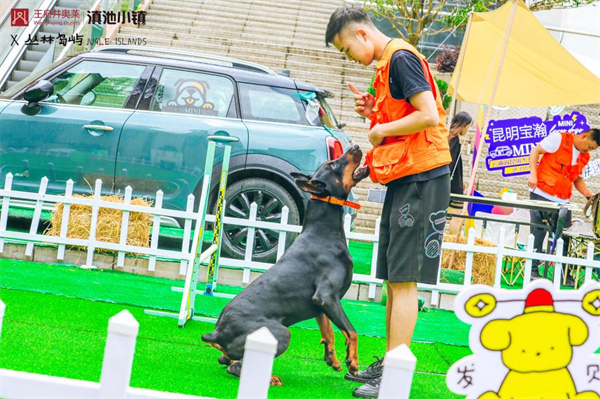 bevictor伟德官网·(中国)唯一官方网站