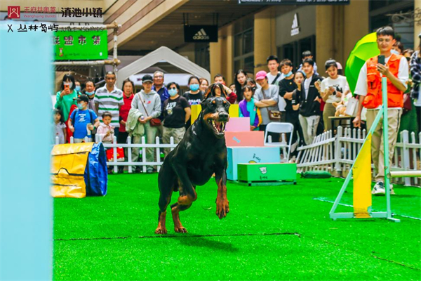 bevictor伟德官网·(中国)唯一官方网站