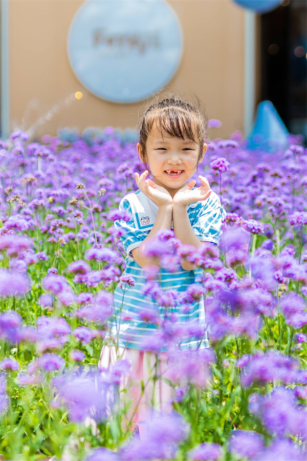 bevictor伟德官网·(中国)唯一官方网站